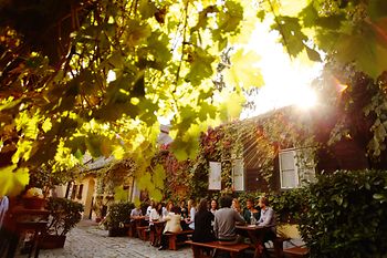 People sitting in the garden of a wine tavern