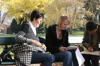 A group of people sitting in the park and solving a puzzle