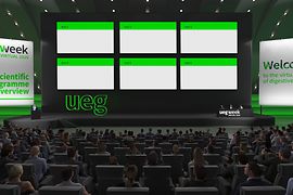 Virtual UEG Week 2020