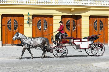 Horse carriage with driver