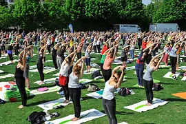 Ideal Yoga Convention